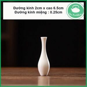Bình sứ men ngọc mini cắm tiểu cảnh trang trí bàn trà - Ảnh 9