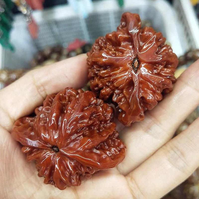 Cặp bị lăn tay hạt óc chó - Ảnh 4