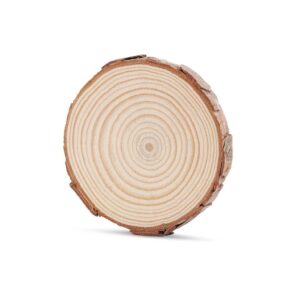 Miếng gỗ cắt lát tròn lót chén trà, kê tượng  8cm - Ảnh 3