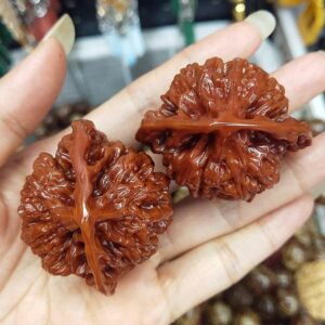 Alternative view of Cặp bị lăn tay hạt óc chó